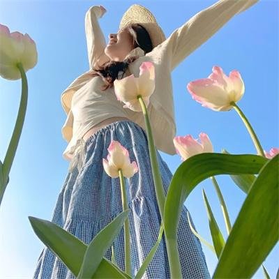 小岛奇谭海报